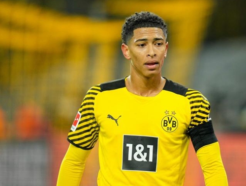 凭借其得天 凭借其得天